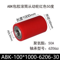 ABK-100×1000-6206-30