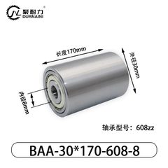 BAA-30×170-608-8