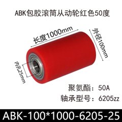 ABK-100×1000-6205-25