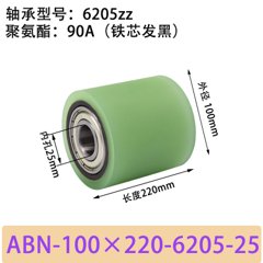 ABN-100×220-6205-25