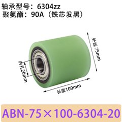 ABN-75×100-6304-20