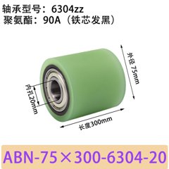 ABN-75×300-6304-20