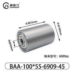 BAA-100×55-6909-45