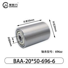 BAA-20×50-696-6