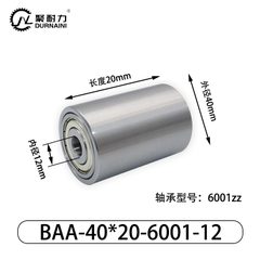BAA-40×20-6001-12