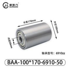 BAA-100×170-6910-50