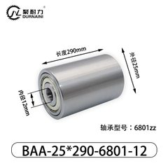 BAA-25×290-6801-12