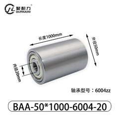 BAA-50×1000-6004-20