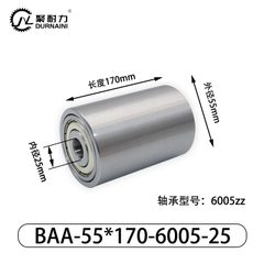 BAA-55×170-6005-25