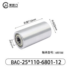 BAC-25×110-6801-12