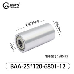 BAC-25×120-6801-12
