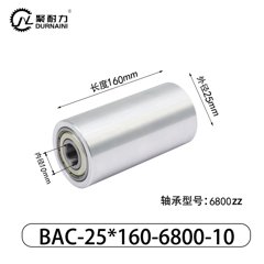 BAC-25×160-6800-10