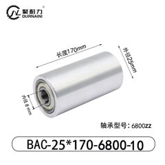 BAC-25×170-6800-10