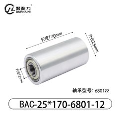 BAC-25×170-6801-12