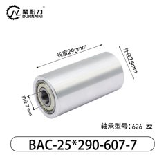 BAC-25×290-607-7