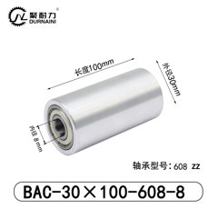 BAC-30×100-608-8