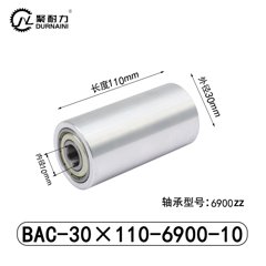 BAC-30×110-6900-10