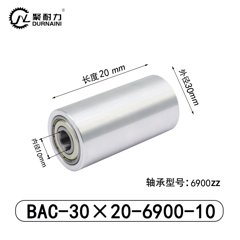 BAC-30×20-6900-10