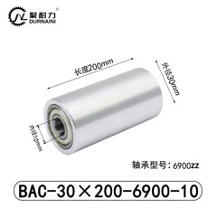 BAC-30×200-6900-10