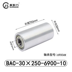 BAC-30×250-6900-10