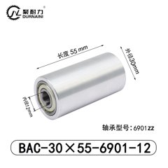 BAC-30×55-6901-12