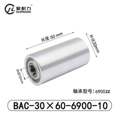 BAC-30×60-6900-10