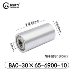 BAC-30×65-6900-10