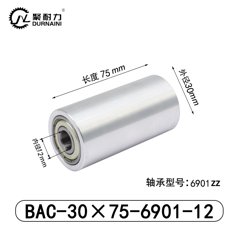 BAC-30×75-6901-12