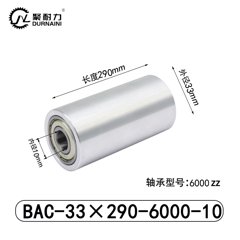 BAC-33×290-6000-10
