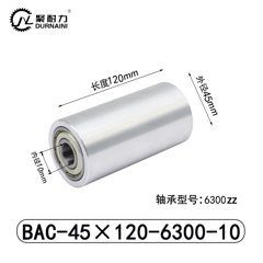 BAC-45×120-6300-10