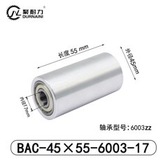 BAC-45×55-6003-17