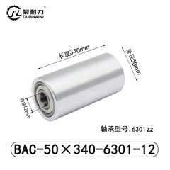 BAC-50×340-6301-12
