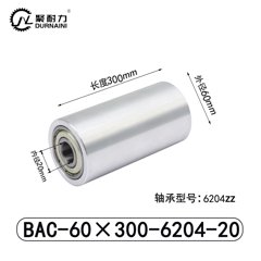BAC-60×300-6204-20