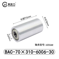 BAC-70×310-6006-30