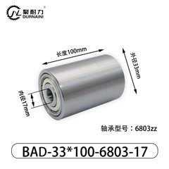 BAD-33×100-6803-17