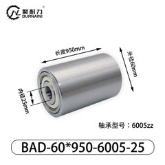 BAD-60×1000-6303-17