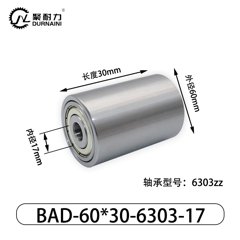 BAD-60×30-6906-30