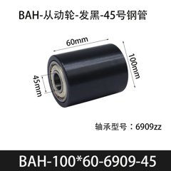 BAH-100×60-6909-45