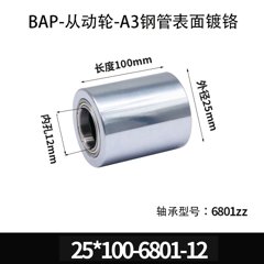 BAP-25×100-6801-12