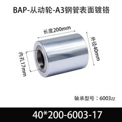 BAP-40×200-6003-17