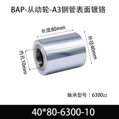 BAP-40×80-6300-10