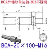 BCA-20×100-M16