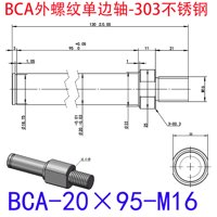 BCA-20×95-M16