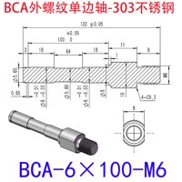 BCA-6×100-M6